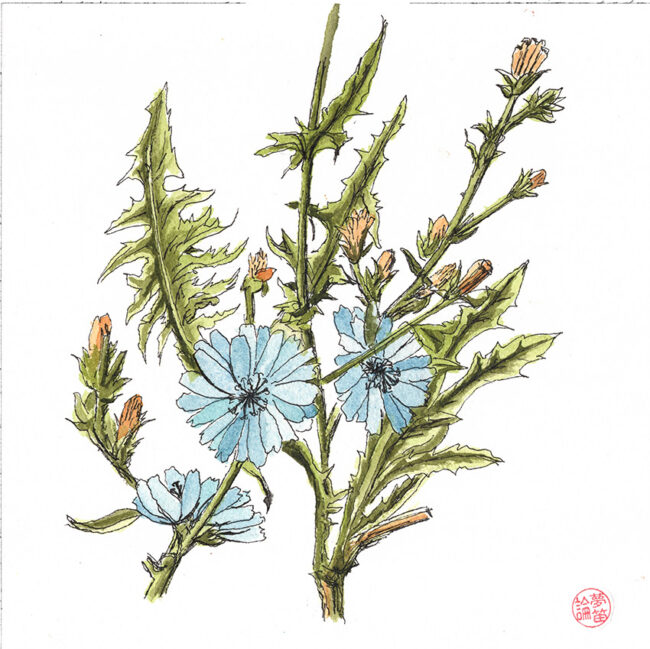 Home m dessin 2025 12 11